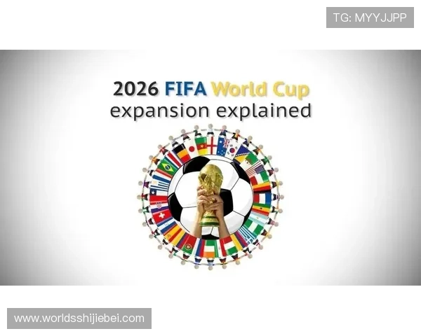 2026年世界杯官网志愿者招募信息及报名流程详细介绍