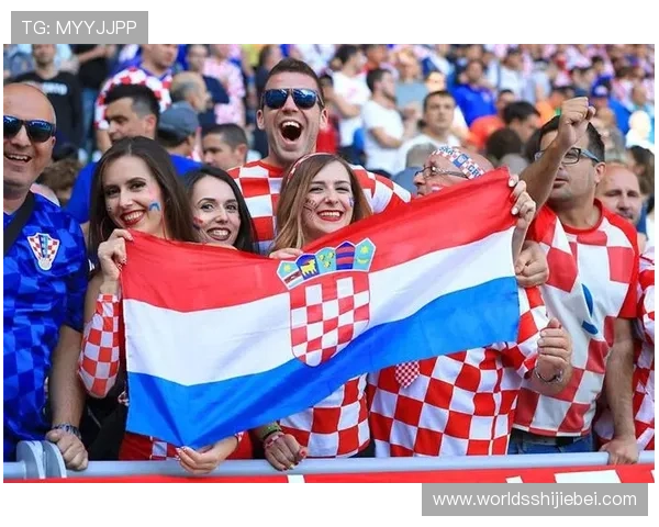 世界杯冠军奖金分配机制对比分析不同国家奖金差异及其背后原因