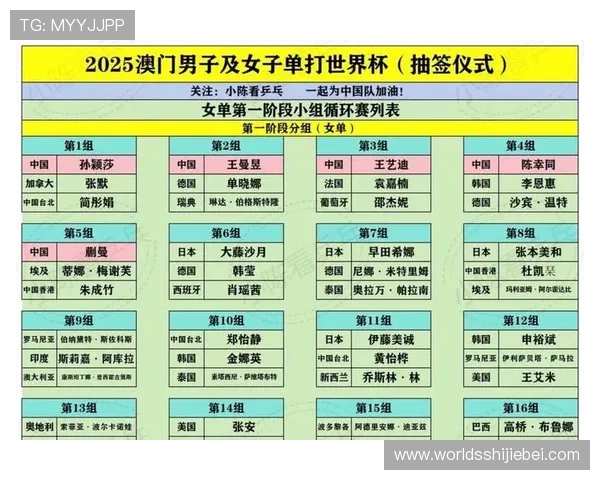 意昂世界杯抽签规则详解：深入分析抽签规则对比赛公平性的影响