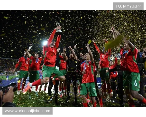 足球世界杯历届冠军统计：各国夺冠次数、时间分布及未来展望