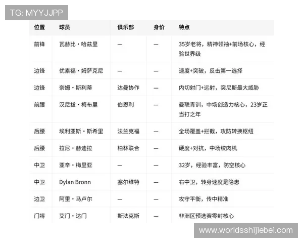 2026年瑞典与突尼斯在世界杯中的攻防表现对比与战术解析